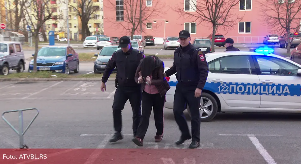 За убиство Швабе, Диљевићој четири и по године затвора