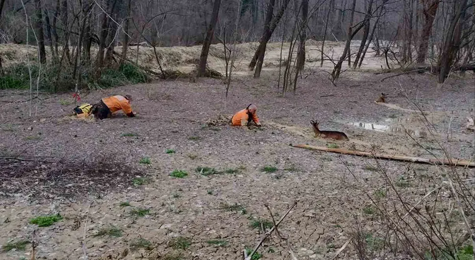 Спасили животиње из живог блата
