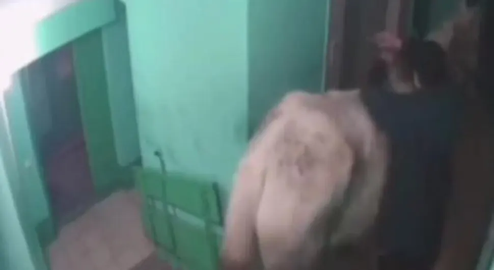 Жени за "помирење" поклонио коња