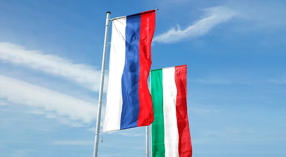 ДИРЕКТАН ПРЕНОС ДИЈЕЛА ПОСЈЕТЕ ДЕЛЕГАЦИЈЕ МАЂАРСКЕ У БАЊАЛУЦИ