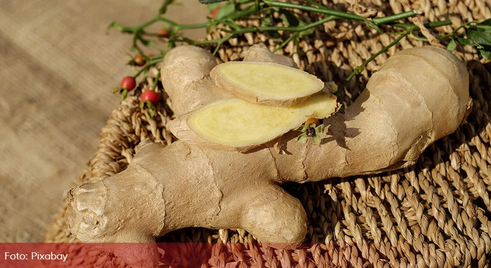 Како да засадите ђумбир код куће