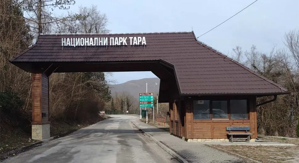 Почела наплата улаза возилима у Национални парк Тара: Ево какве су цијене