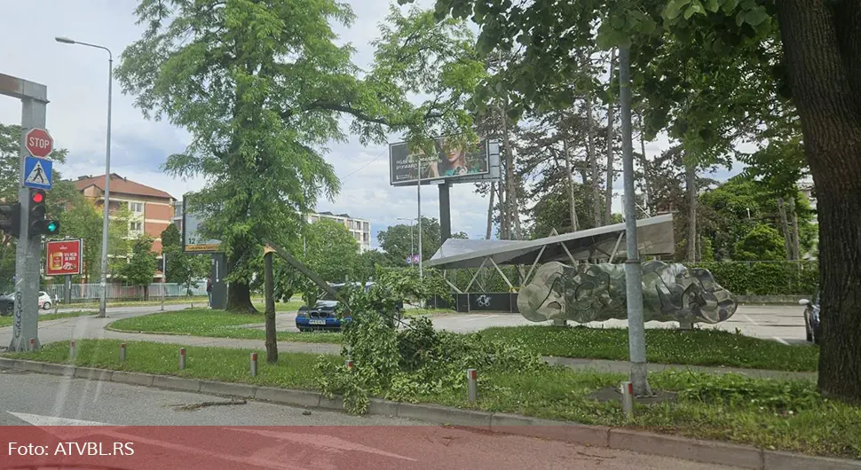 Возачи опрез, срушено дрво у Бањалуци