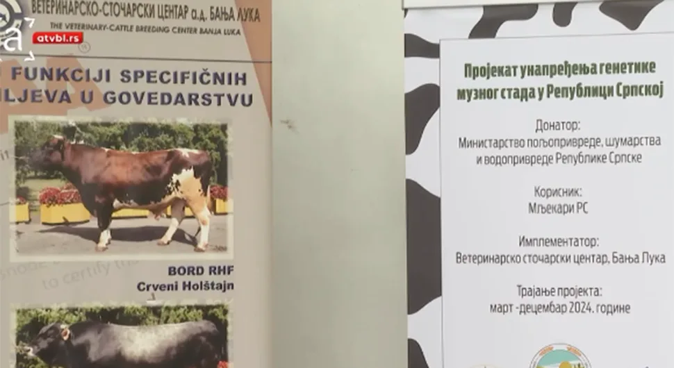 Наставак улагања у унапређење генетике музног стада