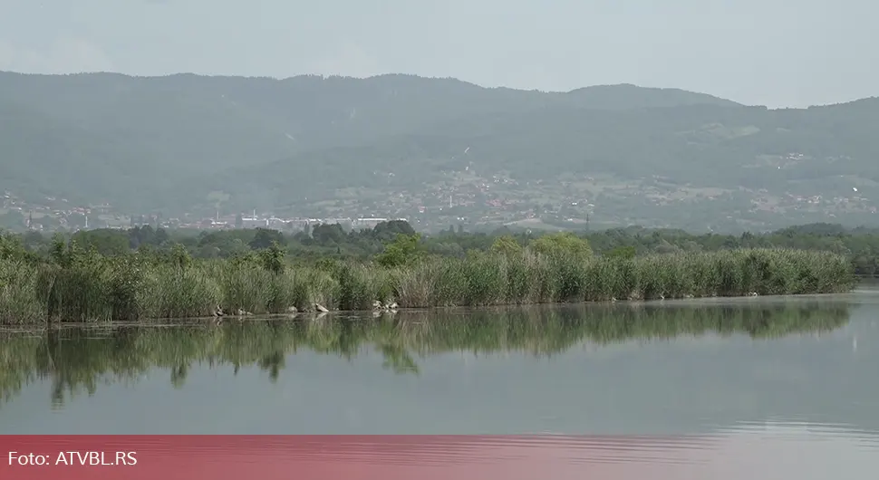 Војо Павичић нови стечајни управник рибњака ''Саничани''