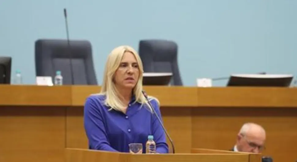 Цвијановић: Све ватре које се распаљују у регији долазе од бошњачке политике