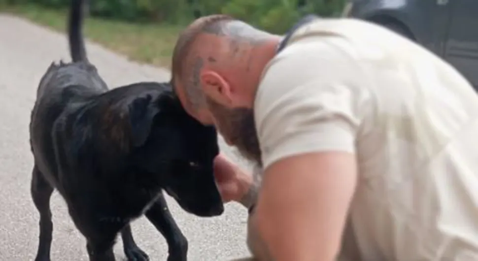 Удомљен пас Блеки којег је Ливњак брутално претукао