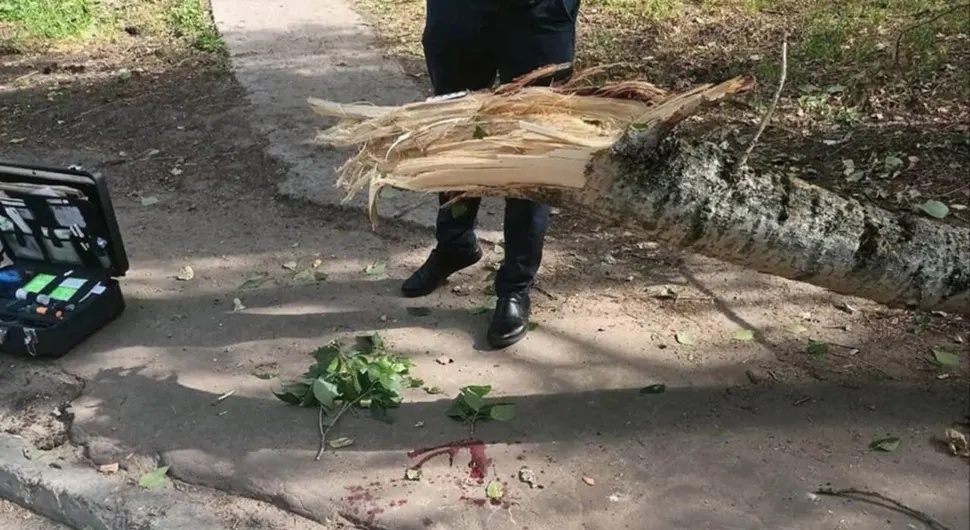 Грана пала са дрвета и усмртила дјевојчицу