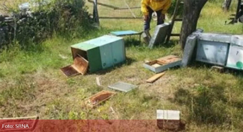 Медвјед уништио кошнице породице Баук из Дрвара