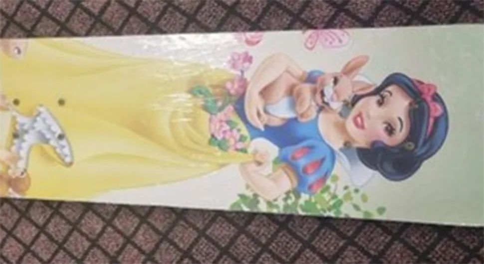 Повучен скејтборд са ''Сњегуљицом''