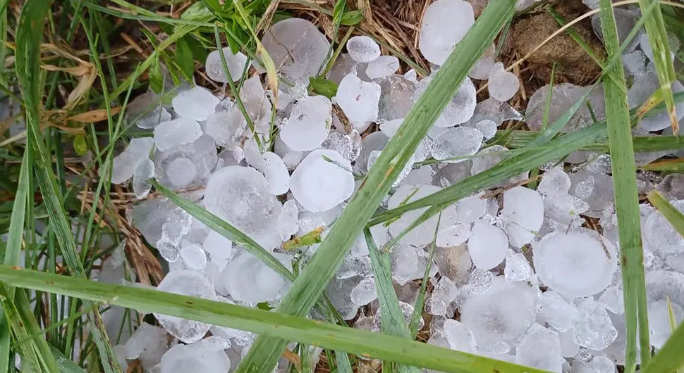 Невријеме у Хрватској: Лед уништио воћњаке, њиве и аутомобиле