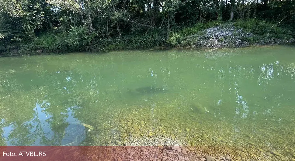 У Дрини пронађено једанаесто тијело мигранта