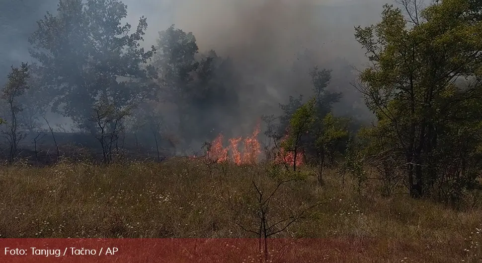 Букти пожар на планини Видлич код Пирота, у опасности три села