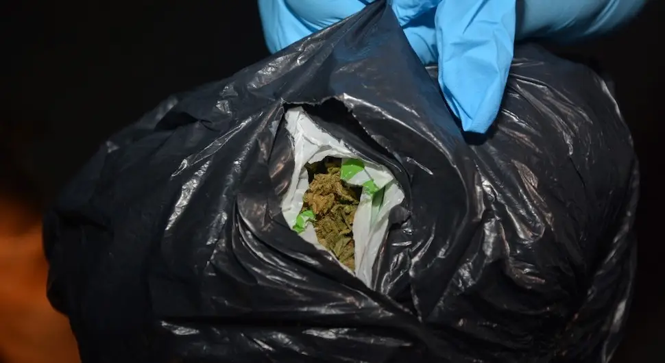 Осумњичени за трговину марихуаном пуштени да се бране са слободе