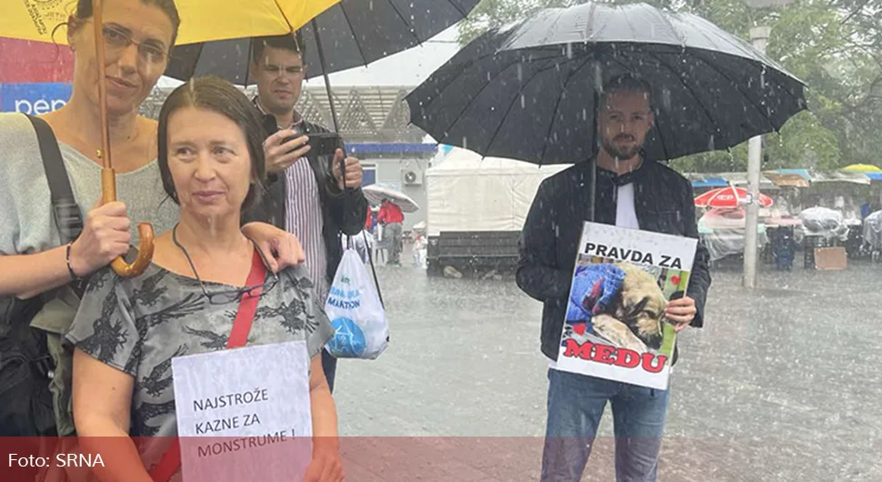 ''Град Бањалука не води рачуна о безбједности животиња, азилу и појави заразних болести''