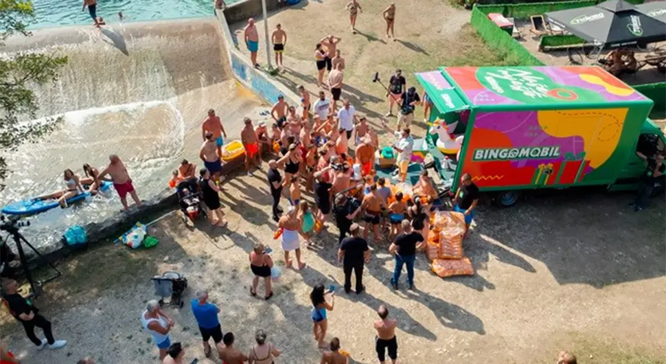 Најезда фламингоса у Јајцу