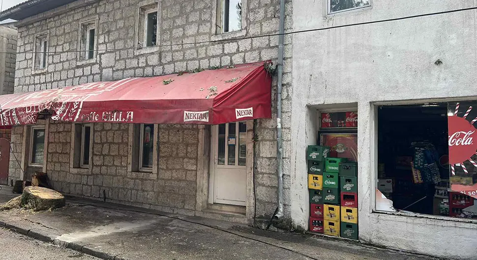 ОО СНСД Гацко: Сјеча дрвореда скрнављење главне улуце, казнити одговорне