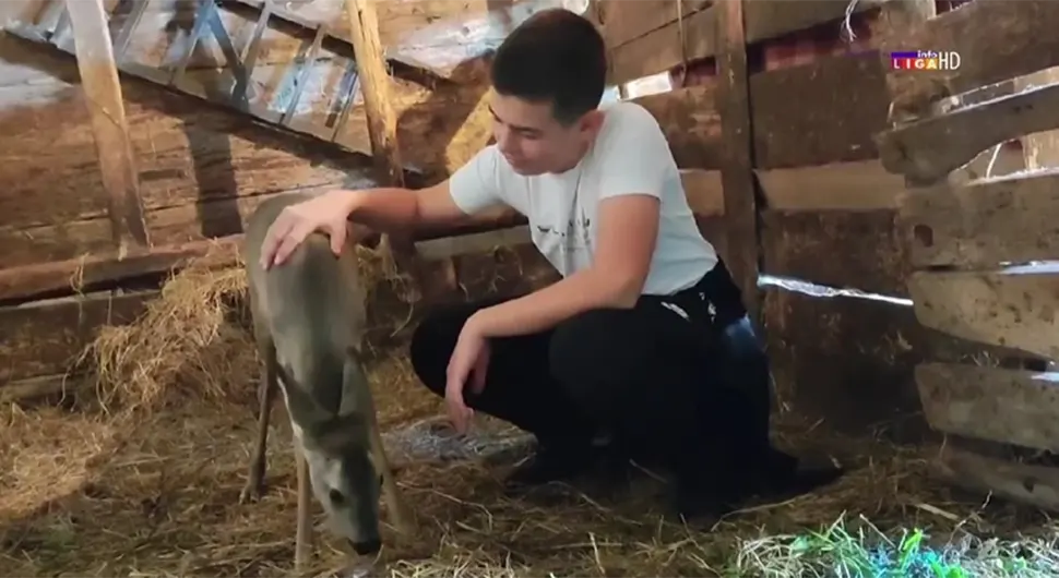 О Николи и његовом кућном љубимцу прича регион