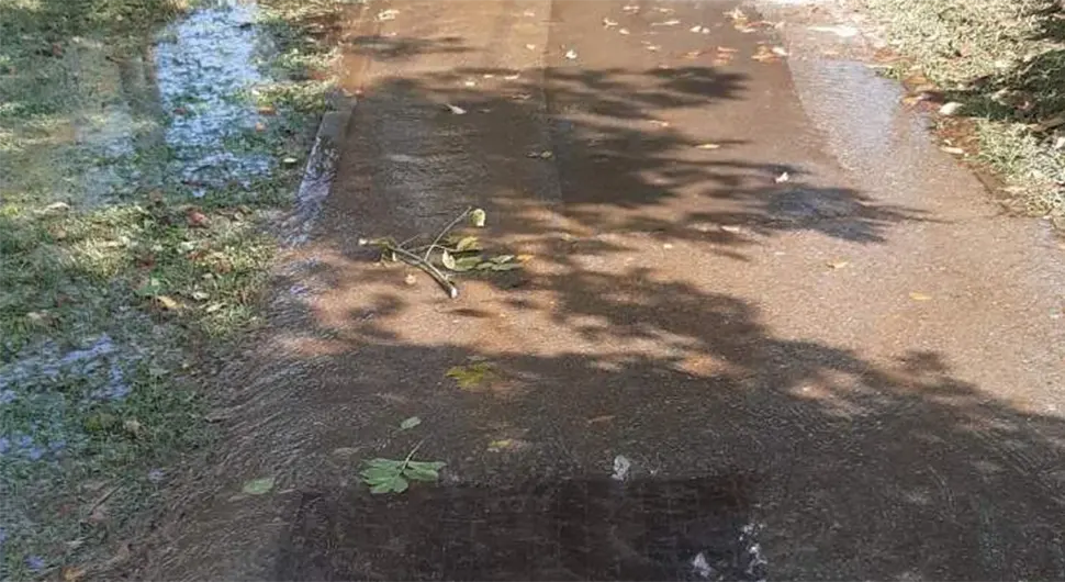 Росуље под водом