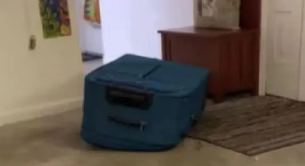 УЗНЕМИРУЈУЋИ СНИМАК! Сара се смије и снима дечка док он умире у коферу