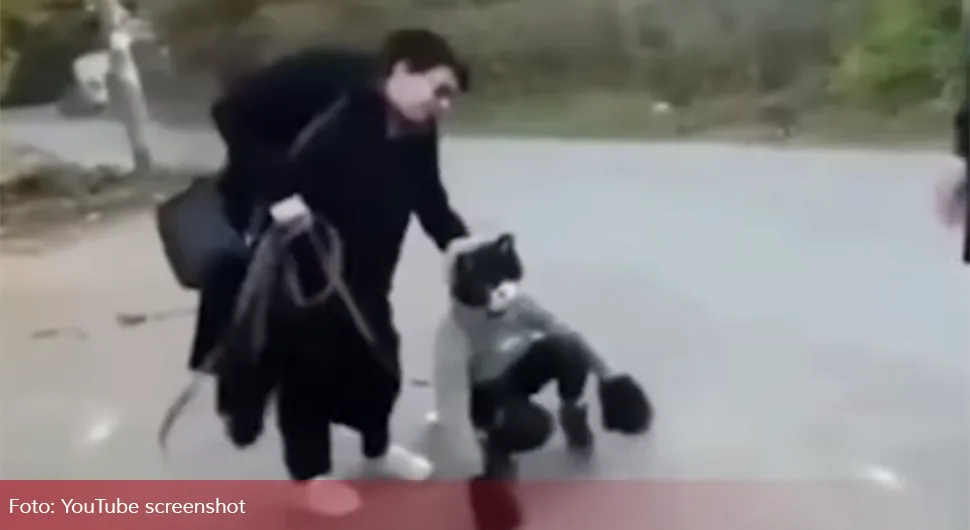 Опасан тренд залудио тинејџере: Маскирани у животиње, реже и уједају пролазнике