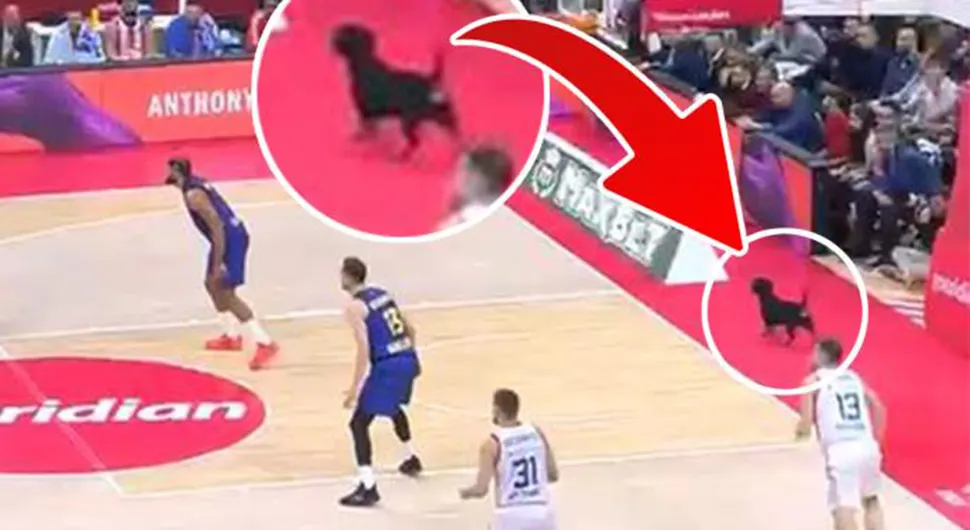 Пас прекинуо меч Звезде и Барселоне у Арени