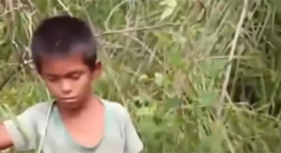 Дјечак (9) пронађен у шуми након седам дана, преживио и ураган: ''Пратио сам звијезде''