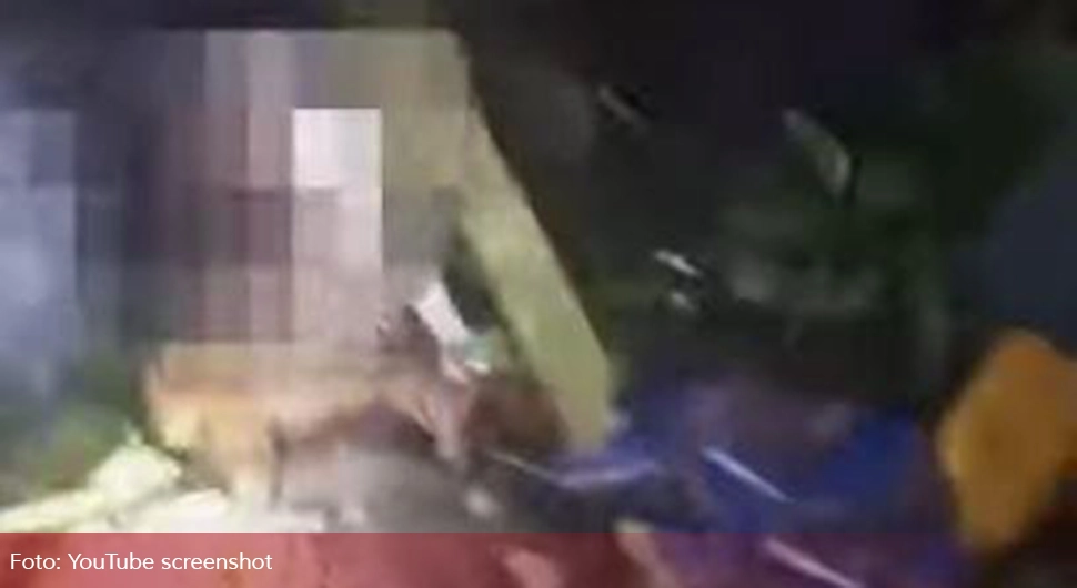 Узнемирујући призор: Човјека вадили из утробе звијери, нису успјели да га спасу