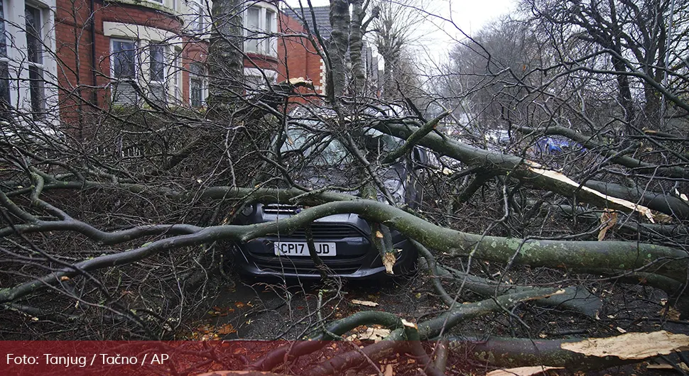 Невријеме у Британији: Дрво пало на комби, једна особа погинула