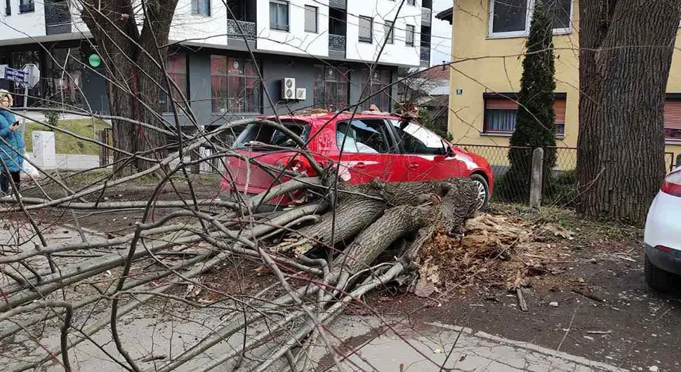 Вјетар поломио дрво у Бањалуци