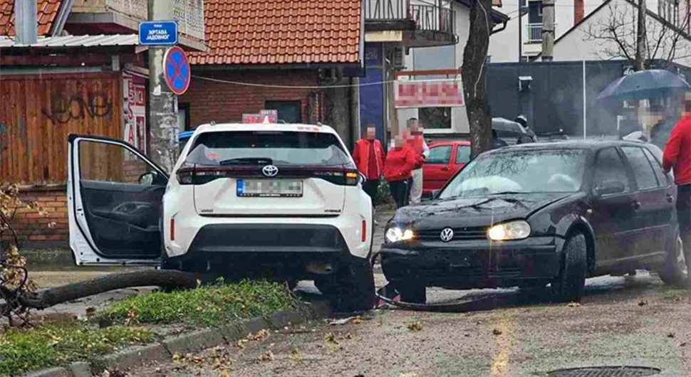 Оборено дрво у судару голфа и тојоте