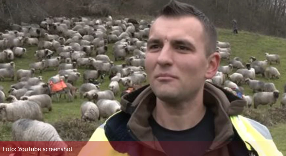 Због оваца напустио Данску и вратио се у Крајину