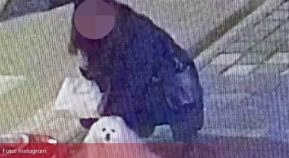 Жена украла пса завезаног испред маркета