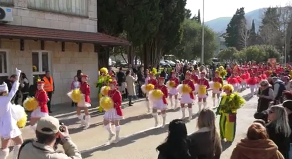 Новљани Херцеговце позвали на ''Празник мимозе''