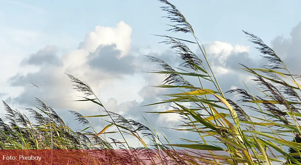 Вјеровања за данашњи празник: Ако дува сјеверац, не слиједи добра година