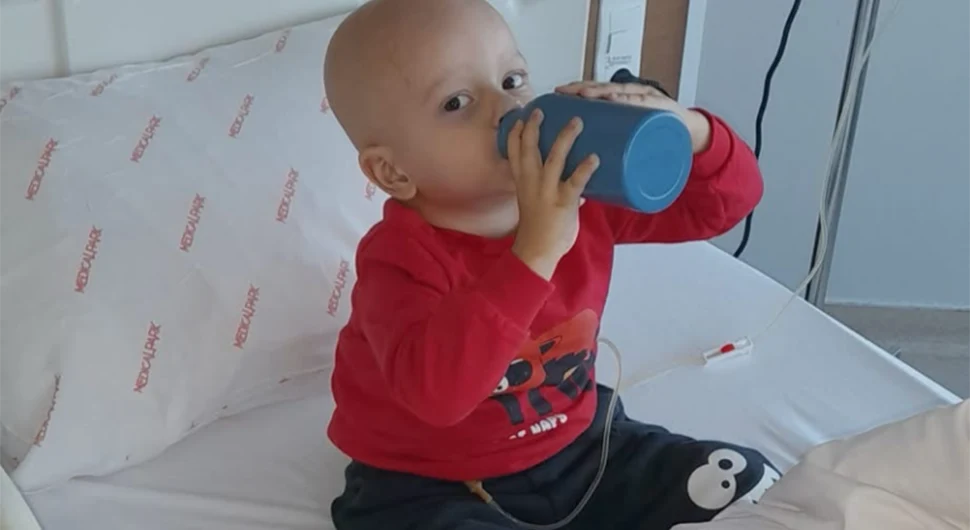 дзан гадзун