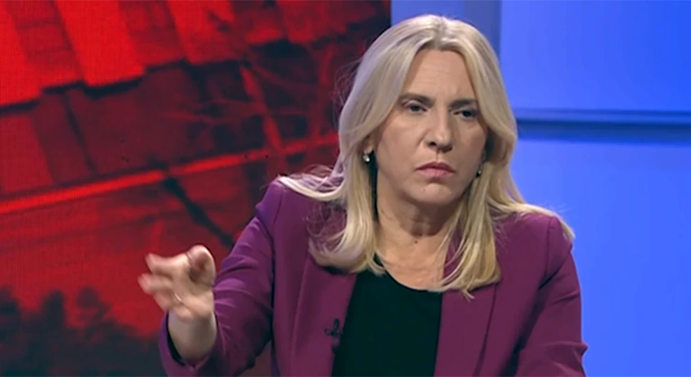 Цвијановић: ЕУ пут треба да буде мост за унутрашњи дијалог