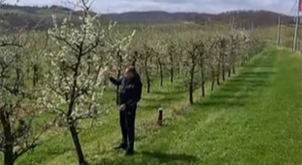 Предсједник Додик обишао воћњак: Биће ово добра година