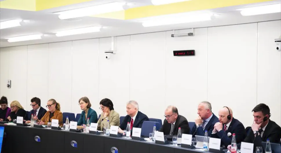 Не бира ни мјесто ни вријеме: Бореновић о Додику и пред ЕУ парламентарцима
