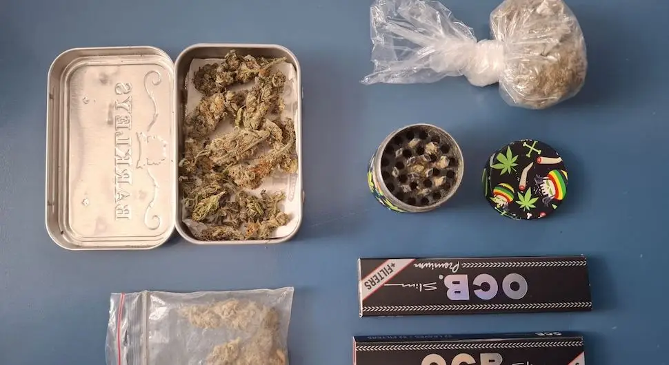 Након контроле ”аудија” одузета марихуана