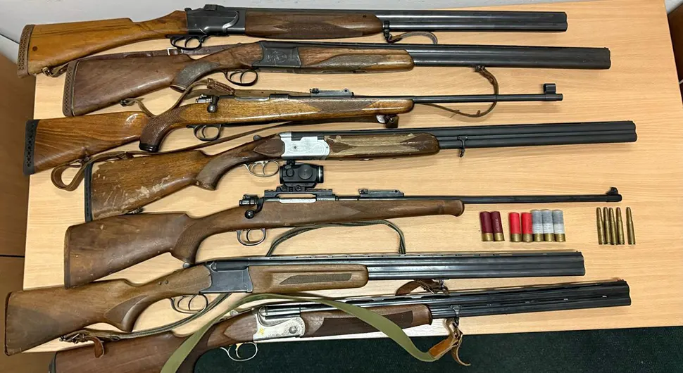 Четворка осумњичена за убиство медвједа: Пронађено седам ловачких пушака