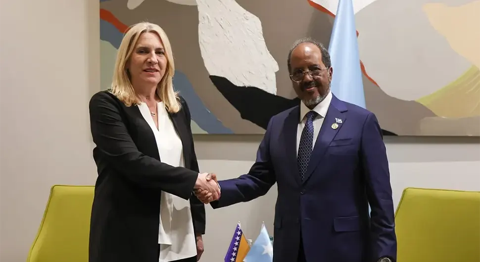 Цвијановић: Предсједник Сомалије упознат о кризи коју је у БиХ изазвао Шмит