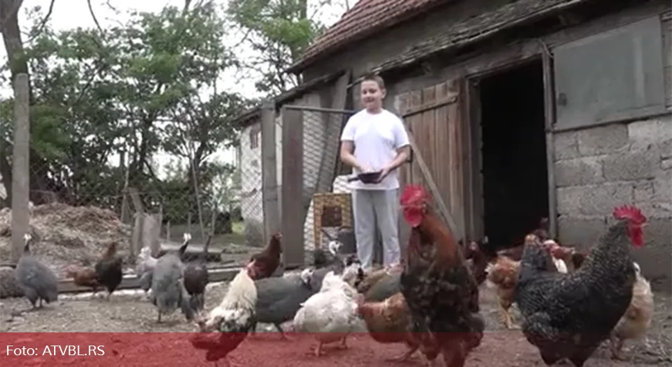 Дјечак Мишо (11) машта о својој фарми: Од уштеђевине купио коке