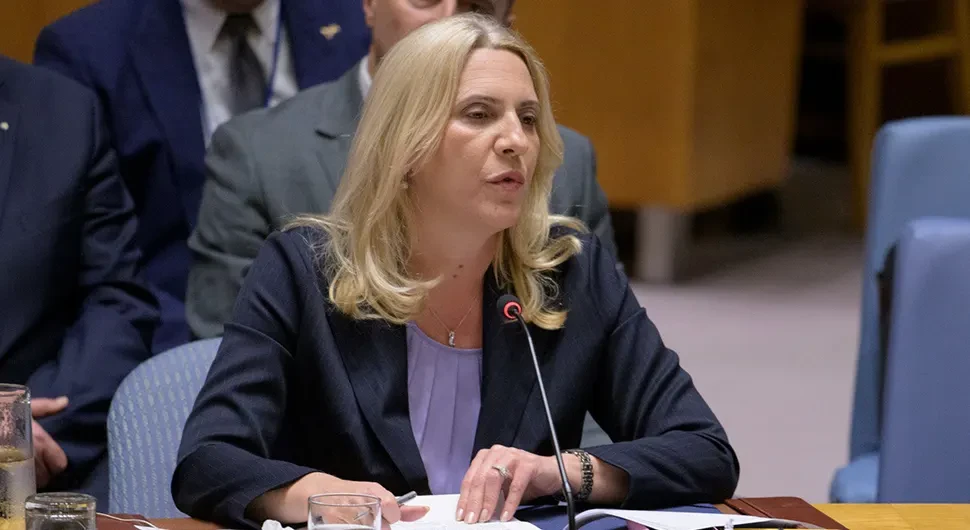 'Говор Цвијановићеве на сједници Савјета безбједности показао да у БиХ живе и други људи поред Бошњака'