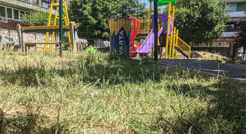 Опасан отров у д‌јечијем парку
