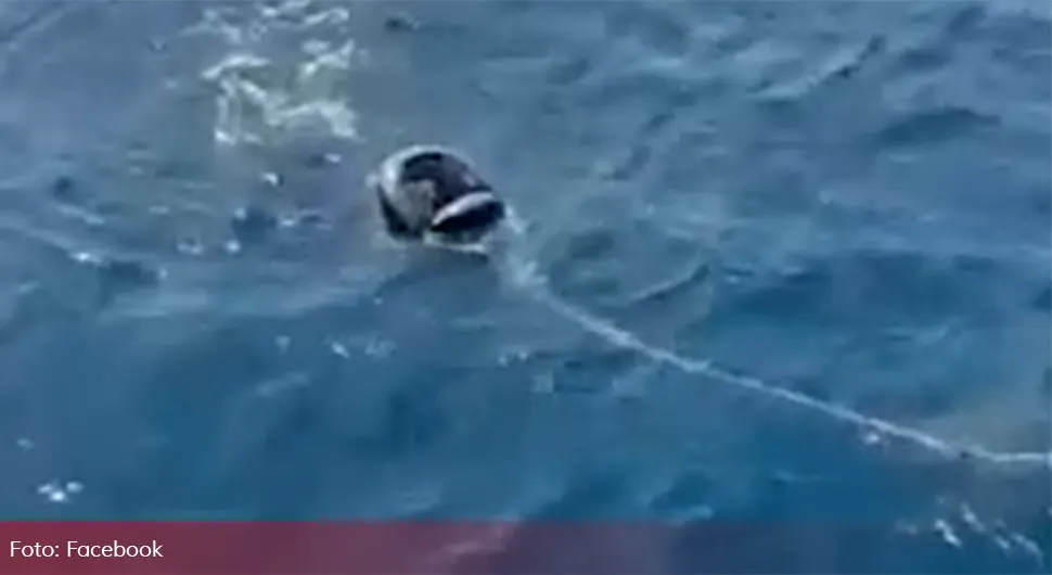Мигрант покушао да преплива Алборанско море