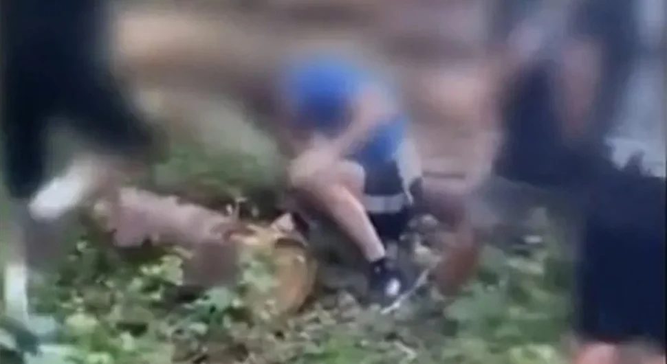 (УЗНЕМИРУЈУЋИ ВИДЕО) Д‌јечаци претукли мушкарца, писао њиховој другарици