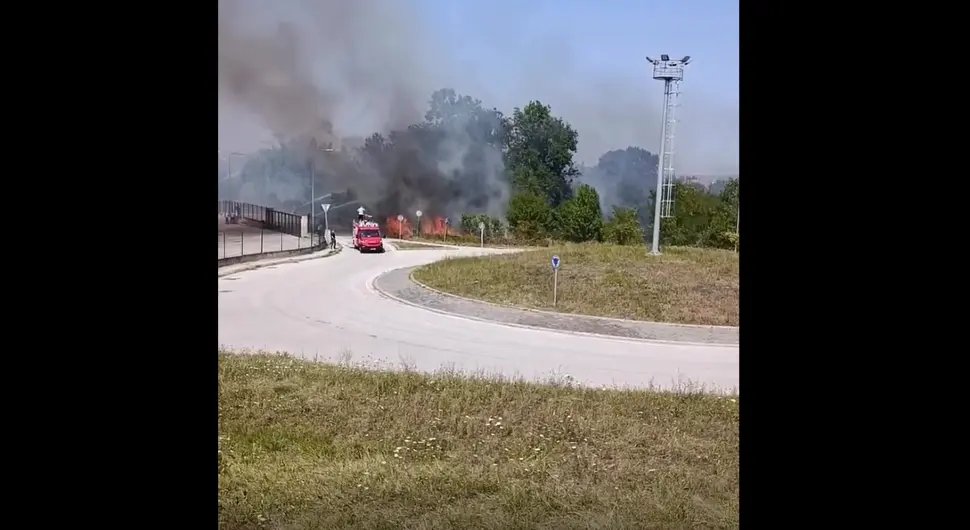 Гори хала познате компаније
