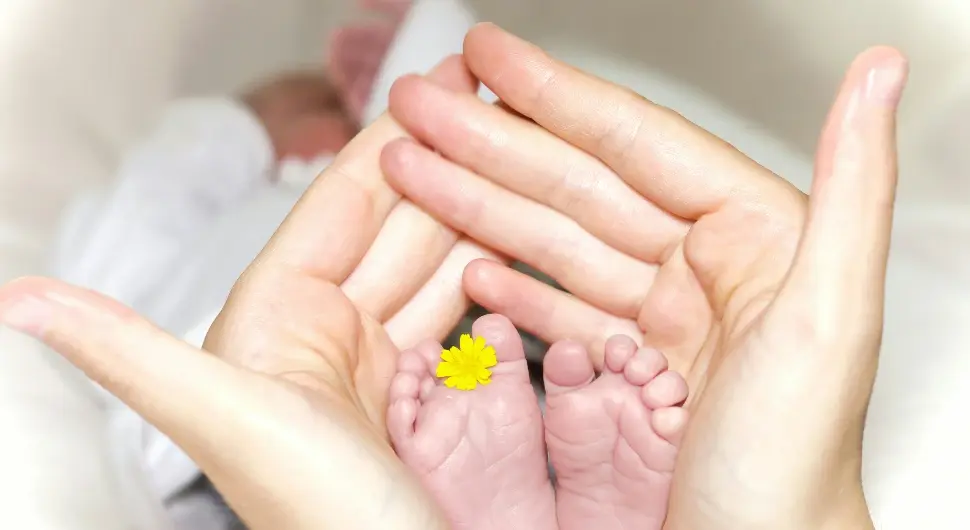 beba bebe porodilište