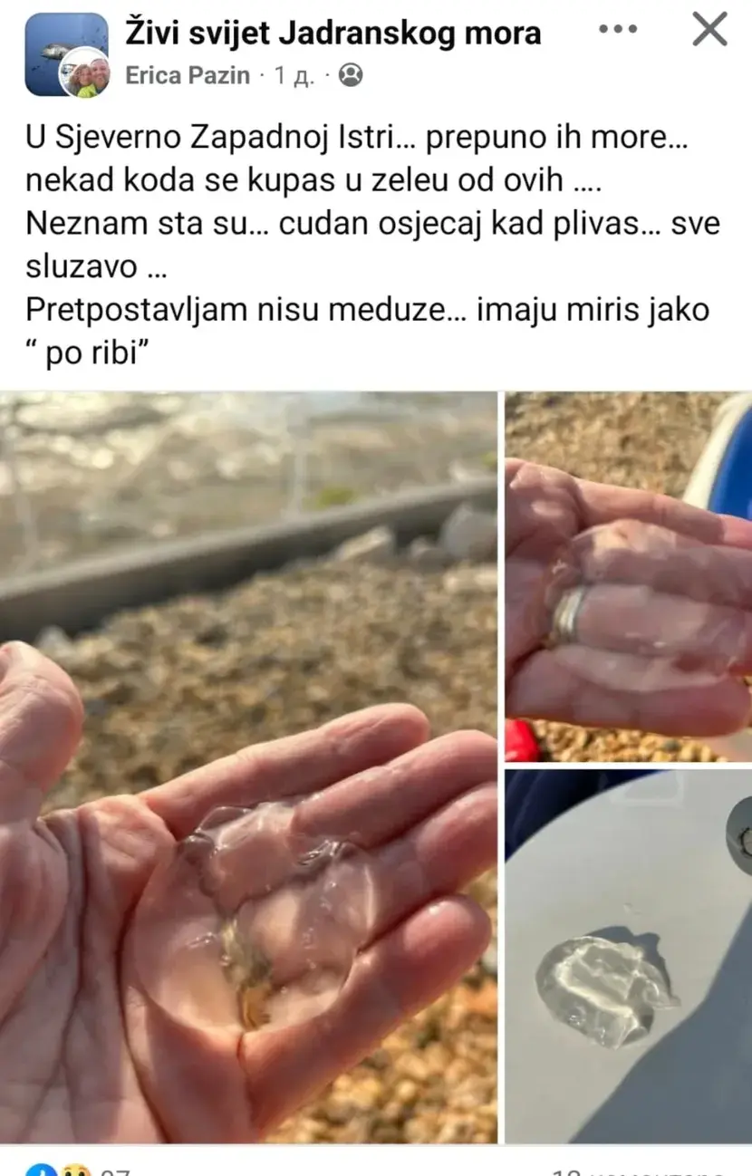 REBRAŠ-140925